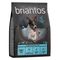 Briantos Adult Mini Lachs & Kartoffel - GETREIDEFREIE Rezeptur 1 kg