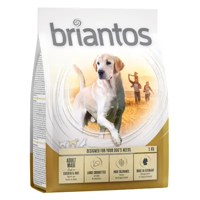 Briantos Adult Maxi, bohaté na kuře a rýži, velké granule, vysoká snášenlivost, vyrobeno v Německu. Velikost balení: 1 kg.