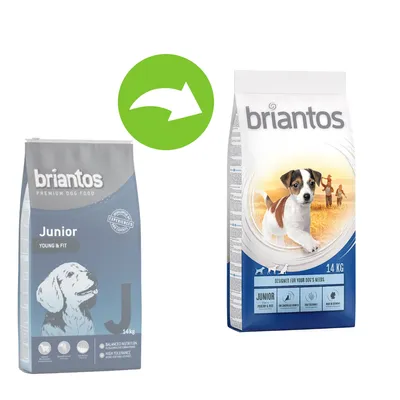 Imagine cu două saci de hrană pentru câini Briantos Junior 14 kg, unul gri și unul alb-albastru, cu săgeată verde indicând trecerea de la vechi la nou.