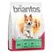 Briantos Adult Agnello & Riso Crocchette per cane 4 x 1 kg