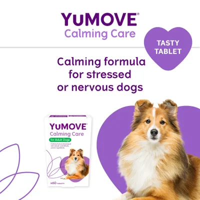 YuMOVE Calming Care for Adult Dogs - 120 Tablets