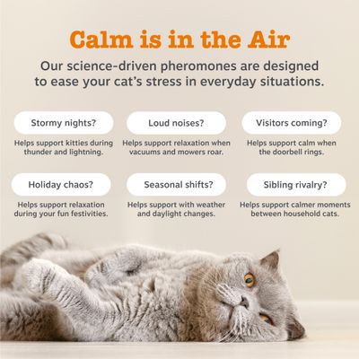Zesty Paws Cat Calming Diffuser Refill Orchid Mist - 75g