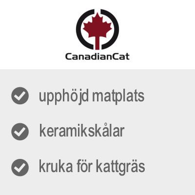 CanadianCat, upphöjd matplats, keramikskålar, kruka för kattgräs