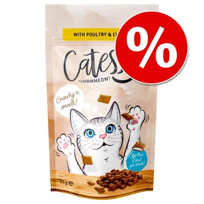 Catesy gustare pentru pisici cu carne de pasăre și brânză, 65g. Crunchy'n smooth! Mai puțin de 2 kcal pe gustare. Semn procent roșu pentru promoție.
