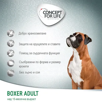 CONCEPT FOR LIFE. Добро храносмилане, защита на хрущялите и ставите, помощ за сърдечната функция, съобразени по форма и размер крокети, без зърно и соя. BOXER ADULT над 15-месечна възраст.