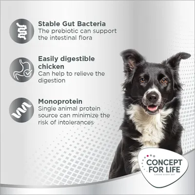 Concept for Life Prebiotic Snack kana - säästöpakkaus: 3 x 80 g