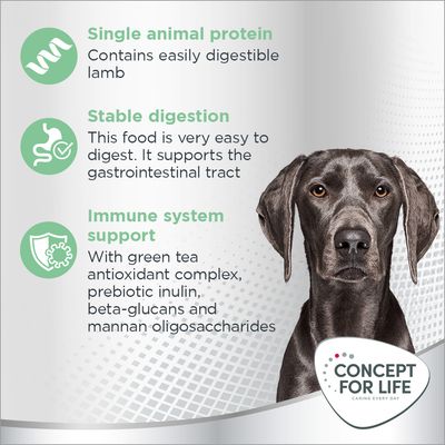 Concept for Life Large Sensitive