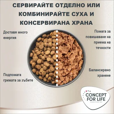 Concept for Life Maine Coon Adult - НОВО: 10 кг
