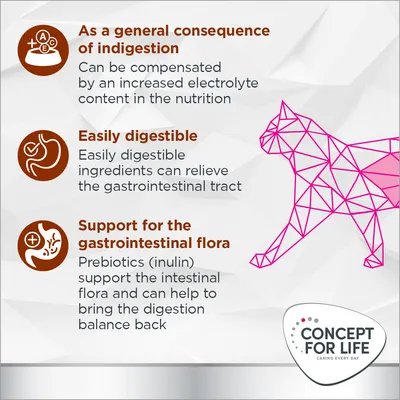 Concept for Life veterinární gastrointestinální dieta - Výhodné balení: 2 x 10 kg (novinka)