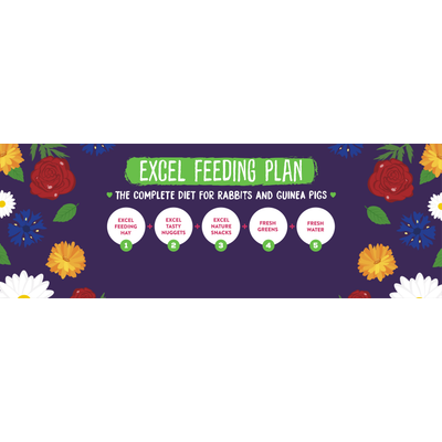 Excel Feeding Plan: Complete nutrition for rabbits and guinea pigs consists of Excel Feeding Hay, Excel Tasty Nuggets, Excel Nature Snacks, fresh greens, and water.