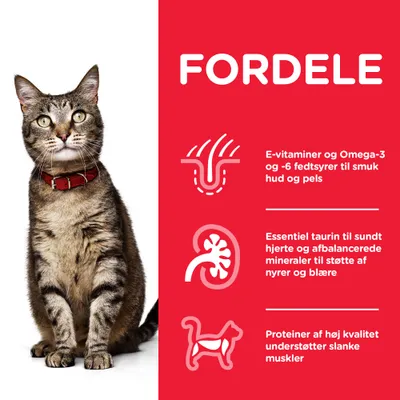 FORDELE: E-vitamin og Omega-3 og -6 fedtsyrer til hud og pels. Essentiel taurin til hjerte, mineraler til nyrer og blære. Proteiner af høj kvalitet understøtter slanke muskler.