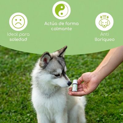 Wolfsbacher Natur Flores de Bach para mascotas