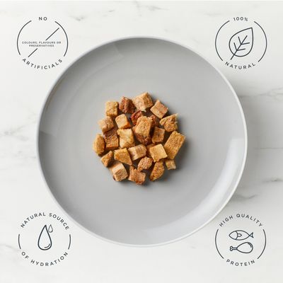 Encore Cat Treats with Tuna Fillet - 10g