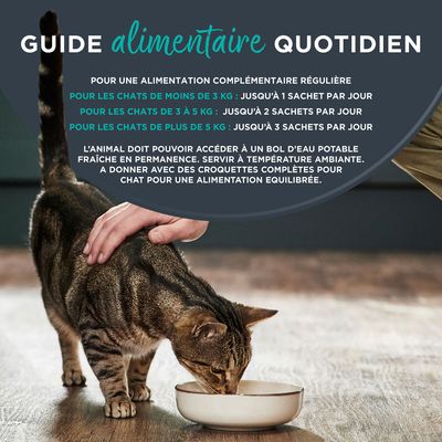 Sachet 70 g Encore In Broth, 100% natural ingredients, suprême de poulet avec riz complet. Image d’un chat devant l’emballage. Texte en anglais, allemand, français et néerlandais.