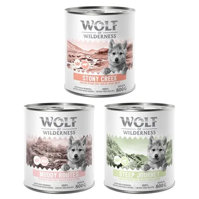 Wolf of Wilderness JUNIOR - Pachet mixt - Cu multă pasăre proaspătă 6 x 800 g: 2xPasăre cu vită, 2xPasăre cu miel, 2xPasăre cu porc