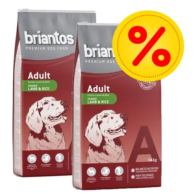 Dvě balení briantos PREMIUM DOG FOOD Adult Tender Lamb & Rice 14 kg, zvýrazněné žluté procento pro akci nebo slevu. Viditelné texty v angličtině.