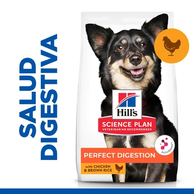 Hill's Science Plan Perfect Digestion, pienso para perros con pollo y arroz integral. Texto visible: SALUD DIGESTIVA, VETERINARIAN RECOMMENDED, with CHICKEN & BROWN RICE.