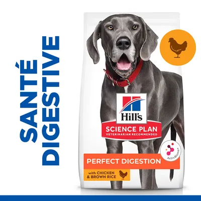 Sac Hill's Science Plan Perfect Digestion pour chien, avec poulet et riz brun, mention Santé digestive, logo ActiveBiome+, texte en anglais sur l'emballage.