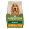 Harringtons Complete Adult Dog - Rich in Turkey with Veg 15kg