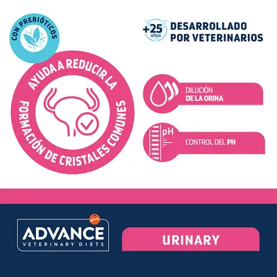 Advance Veterinary Diets Cat Urinary comida húmeda para gatos - 12 x 85 g