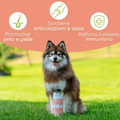 Wolfsbacher Natur Olio di salmone per cani - 1 L