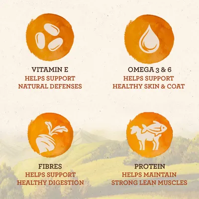 Vitamin E helps support natural defenses, Omega 3 & 6 helps support healthy skin & coat, Fibres helps support healthy digestion, Protein helps maintain strong lean muscles. Angol nyelvű szöveg.