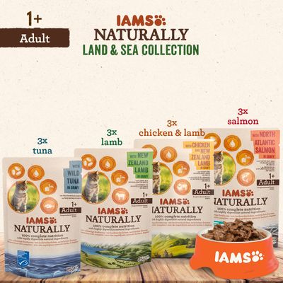 IAMS Naturally Land & Sea Collection macskaeledel: 3x tonhal, 3x bárány, 3x csirke és bárány, 3x lazac. Felnőtt 1+ év. 85 g tasakok, márkás tálban eledel látható.