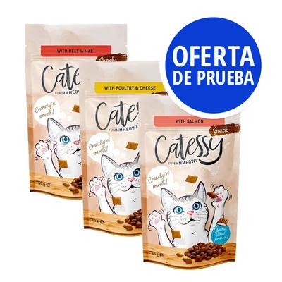 Tres bolsas de snacks Catessy Yummmmeow! sabores: with beef & malt, with poultry & cheese, with salmon. Etiqueta azul: OFERTA DE PRUEBA. Texto visible: crunchy'n smooth!, 55 g, 65 g.