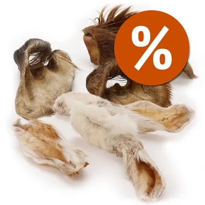 Orecchie essiccate di animali con pelo visibile, assortite su sfondo bianco. Simbolo percentuale bianco su cerchio arancione in alto a destra, indica offerta o sconto.