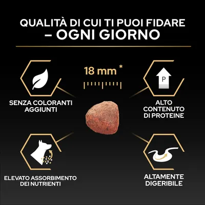 Dimensione delle crocchette 18 mm, senza coloranti, alto contenuto proteico, elevato assorbimento dei nutrienti, facilmente digeribile. Garanzia di qualità per ogni giorno. Dimensione delle crocchette 18 mm, senza coloranti, alto contenuto proteico, elevato assorbimento dei nutrienti, facilmente digeribile. Garanzia di qualità per ogni giorno.