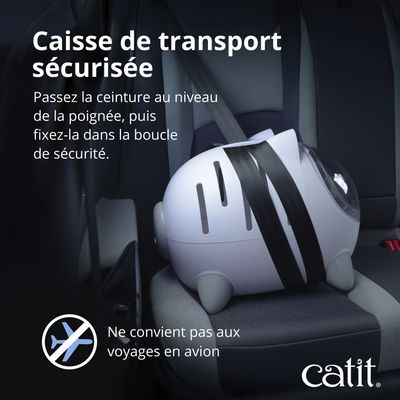 Caisse de transport fixée avec une ceinture de sécurité dans la voiture. Remarque : non adaptée aux voyages en avion. Marque : catit.