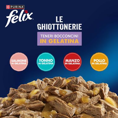Maxi formato: Felix Le Ghiottonerie 120 x 85 g - Varietà di carne & pesce (Manzo, Salmone, Pollo, Tonno)