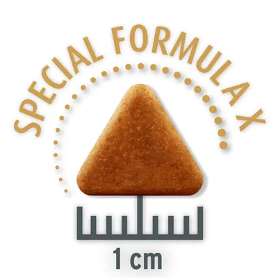 Kolmionmuotoinen kroketti, jossa teksti 'Special Formula X' ja koko 1 cm.