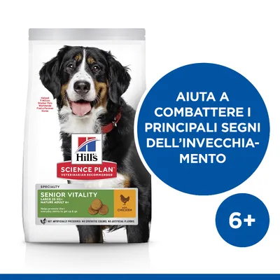 Hill's Science Plan Senior Vitality Large 25 kg+ Mature Adult 6+ con pollo. Aiuta a combattere i principali segni dell’invecchiamento. 6+ visibile su sfondo blu.