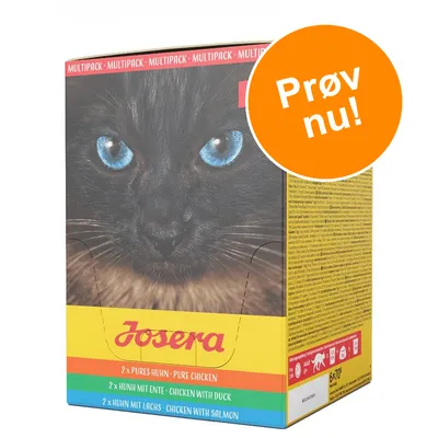 Josera multipack kattemad. 2 x pures huhn, 2 x huhn mit ente, 2 x huhn mit lachs. Stor sort kat med blå øjne på pakken. Orange cirkel med teksten: Prøv nu!
