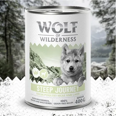 Wolf of Wilderness Steep Journey Junior, carne fresca di pollame e agnello, con frutti di bosco, radici ed erbe, ricetta 100% senza cereali, lattina da 400g.