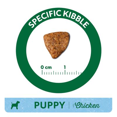 Single triangular kibble piece with size scale 0–1 cm, green circle labelled 'SPECIFIC KIBBLE', blue banner reads 'PUPPY with Chicken' and dog silhouette icon.