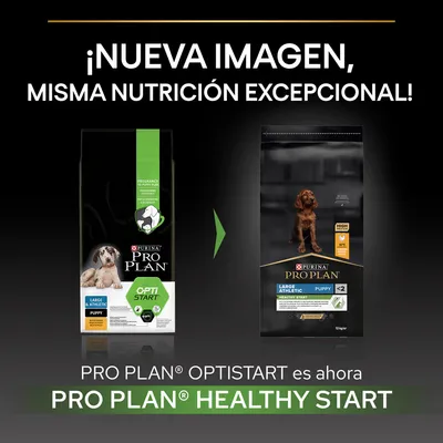 Comparativa de envases: Purina Pro Plan Optistart Puppy Large & Athletic cambia a Pro Plan Healthy Start Puppy Large & Athletic. Texto: ¡Nueva imagen, misma nutrición excepcional!