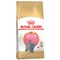 Royal Canin British Shorthair Kitten - cat dry food 2kg