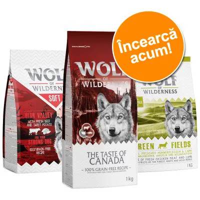 Pungi de hrană pentru câini Wolf of Wilderness, sortimente: The Taste of Canada, High Valley Soft și Green Fields. Etichetă portocalie cu textul „Încearcă acum!” Pungi de hrană pentru câini Wolf of Wilderness, sortimente: The Taste of Canada, High Valley Soft și Green Fields. Etichetă portocalie cu textul „Încearcă acum!”