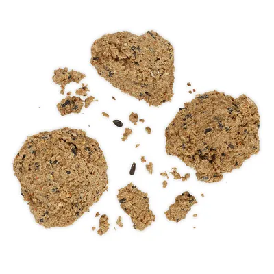 Primer plano de galletas para perros rotas y granuladas con semillas y trozos de cereales visibles.