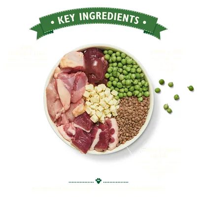 Bowl with raw chicken pieces, red meat, green peas, brown lentils, and diced yellow cubes. Banner above reads 'Key Ingredients'. Some peas scattered beside the bowl.