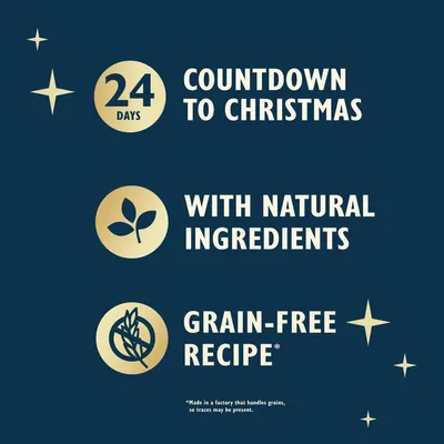 Lily's Kitchen Advent Calendar for Cats - 1 Advent Calendar