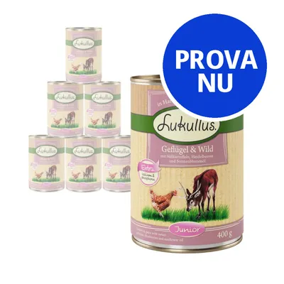 Flera burkar Lukullus Geflügel & Wild Junior 400 g med synlig text: 'Extra calcium & phosphorus'. Stor blå cirkel med vit text: PROVA NU.