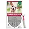 Advantix® très petit chien jusqu'à 4 kg 6 mois de protection (6 pipettes )