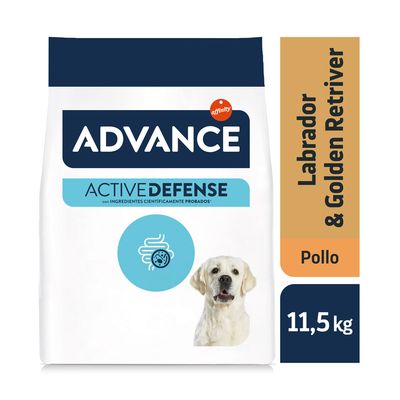 Advance Labrador y Golden Retriever Adult