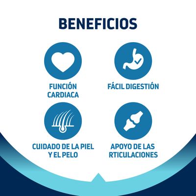 Texto: Beneficios. Función cardiaca, fácil digestión, cuidado de la piel y el pelo, apoyo de las articulaciones.