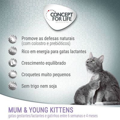 Concept for Life Mum & Young Kittens. Promove as defesas naturais, rico em energia para gatas lactantes, crescimento equilibrado, croquetes muito pequenos, sem trigo nem soja.