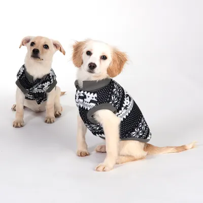 Zwei Hunde tragen schwarze Pullover mit weissen Schneeflocken- und Rentiermustern. Winterkleidung für Haustiere.
