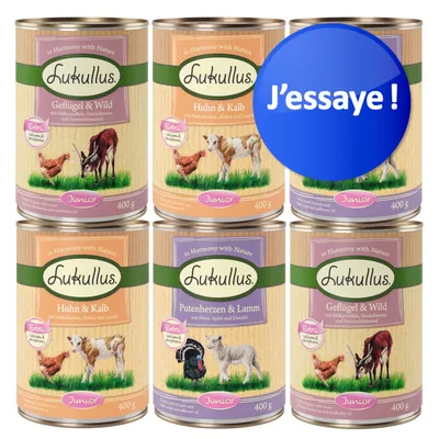 Lot de 6 boîtes Lukullus Junior 400 g, variétés visibles : Geflügel & Wild, Huhn & Kalb, Putenherzen & Lamm. Pastille bleue avec texte : J’essaie !